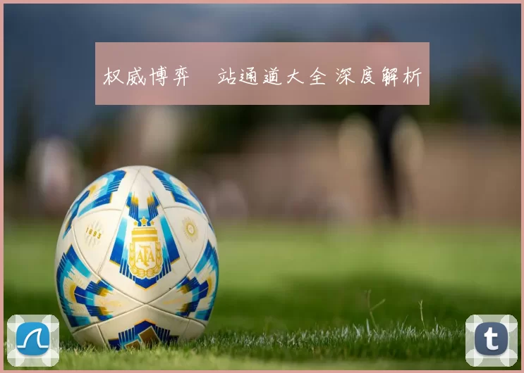 权威博弈網站通道大全 深度解析