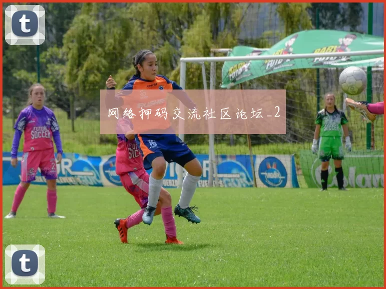 网络押码交流社区论坛_2