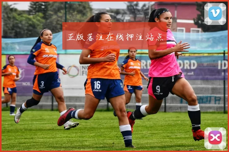 正版落注在线押注站点