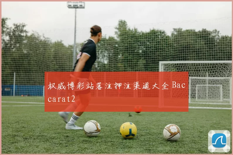 权威博彩站落注押注渠道大全 Baccarat2