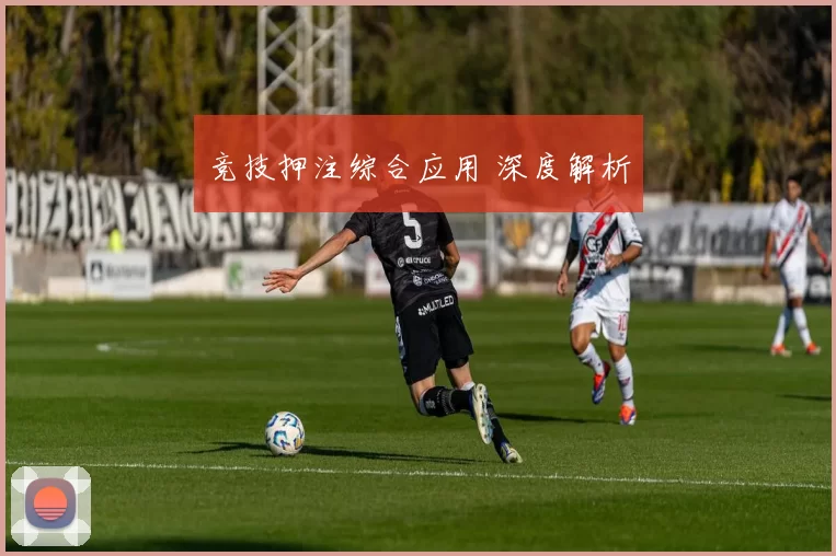 竞技押注综合应用 深度解析