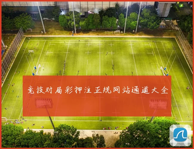 竞技对局彩押注正规网站通道大全