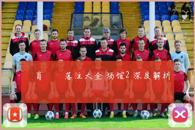 體育運動落注大全 场馆2 深度解析