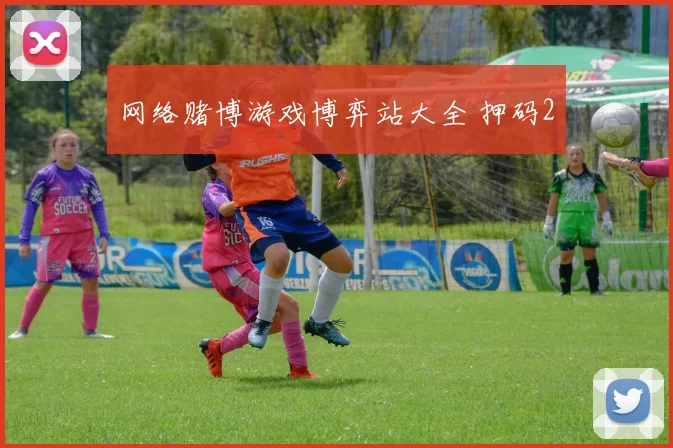 网络赌博游戏博弈站大全 押码2